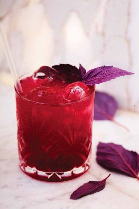 Gin Red Basil Smash