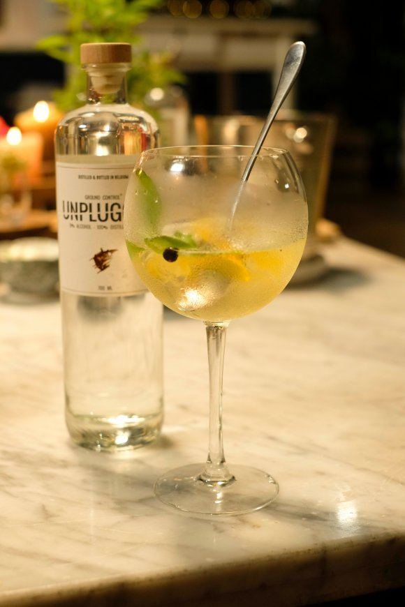 Alcoholvrije gin & tonic